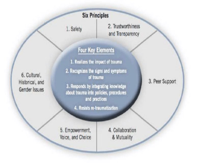 Graphic showing the six principles
